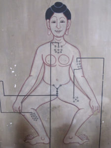 Wat Po Female Chart